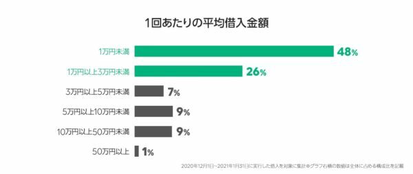 INEポケットマネーの借入用途